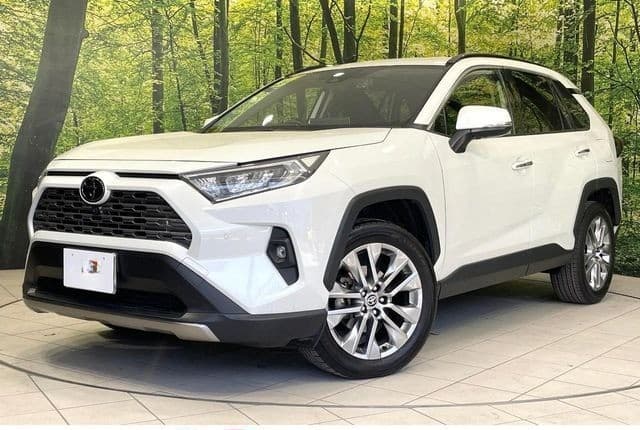 2022 TOYOTA RAV4 2.0 G Z PACKAGE